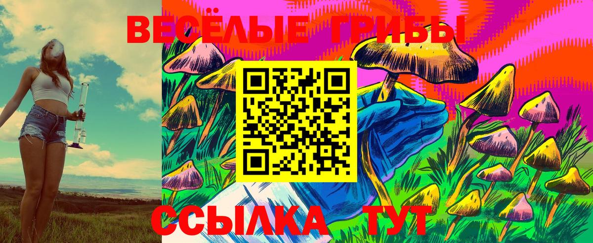 Галлюциногенные грибы Psilocybine cubensis  Вход с VPN  Ишим  Псилоцибиновые грибы ЛСД 